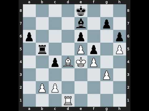 Aloyzas Kveinys(2496) vs Eckhard Schmittdiel(2490) | Event: Bundesliga | 2000.03.26