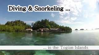 preview picture of video 'Indonesia - Sulawesi 2014 - Diving & Snorkeling in Togian Islands (1920 x 1080)'