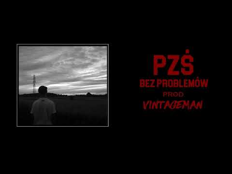PZŚ - Bez Problemów (prod.VINTAGEMAN)