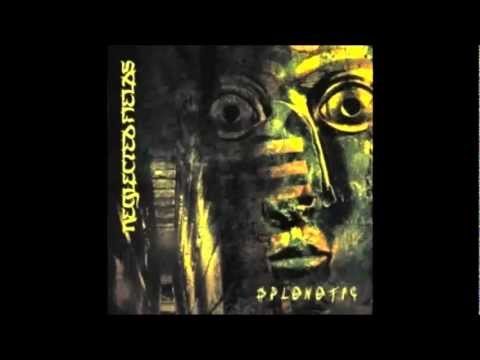 Neglected Fields  -  Splenetic / Confusion