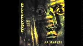 Neglected Fields  -  Splenetic / Confusion