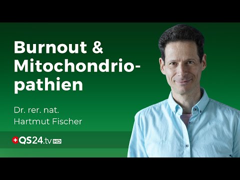 Burnout: Mitochondriopathien mit DMSO behandeln | Dr. rer. nat. Hartmut Fischer | QS24