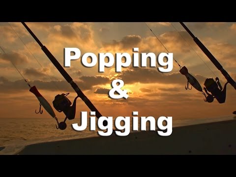 Popping & Jigging - Andamans - The Return - 2012