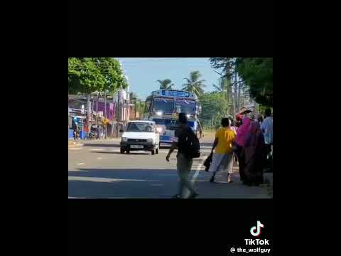 ලංකාවේ පමණි ♥️🇱🇰💪🏼💪🏼                    @BUS PISSO