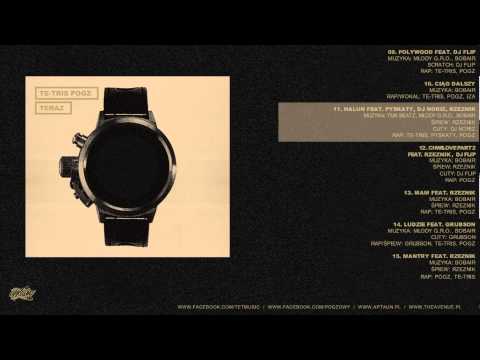 Te-Tris / Pogz - Halun (feat. Pyskaty, Rzeznik, Dj Noriz)