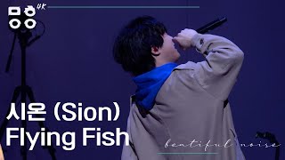 Kadr z teledysku Flying Fish tekst piosenki Sion