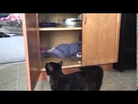 Thung Life #6# Dolap