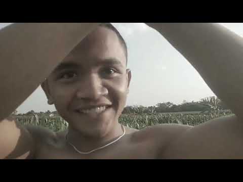 film-jawa-lucu-_-bosku-songong-tktdw-channel