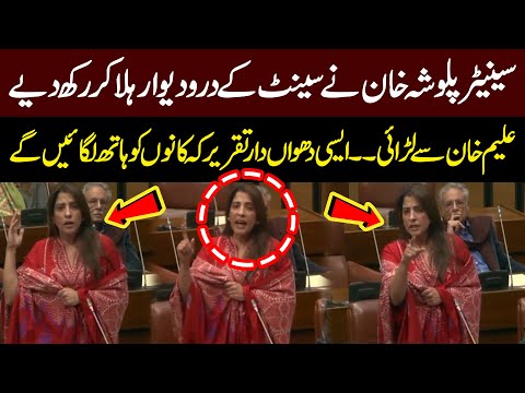 Palwasha Khan VS Aleem Khan | Palwasha Khan's Hard-Hitting Speech in Senate! | Video Goes Viral