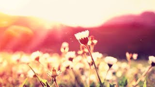 Glaue - Kali [Silk Music]