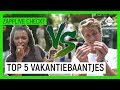 EXTRA ZAKCENTJE VERDIENEN DEZE ZOMER? | Bruno Prent | Zapplive Checkt | NPO Zapp