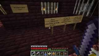 TheConnectiCube - Kolbeinn dans Ocarina Of Craft - Episode 10