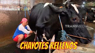 Download lagu CHAYOTES RELLENOS | JEJAK SI GUNDUL (14/11/21) mp3