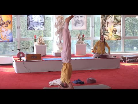 Live Yogastunde Chakrareise mit Chitra - 09:15 Uhr 27.03.2020