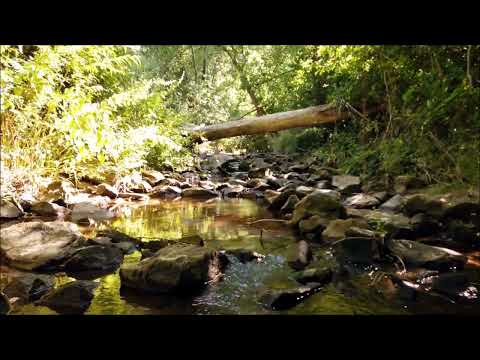 Wassergeplätscher am Bach - Meditation und Entspannung