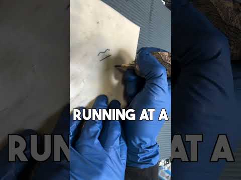 Matching Hand Speed and Voltage