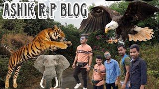 Download lagu BANNERGHATTA ZOO 🐘🐼🐯//BANGALORE & KARNATAKA#BANGALI BLOG#ASHIK R P BLOG mp3 Download lagu BANNERGHATTA ZOO 🐘🐼🐯//BANGALORE & KARNATAKA#BANGALI BLOG#ASHIK R P BLOG mp3