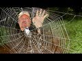 World's Strongest Spider Web