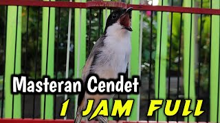 Download lagu MASTERAN CENDET FULL ISIAN 1 JAM NONSTOP UNTUK MATERI CENDET TROTOL mp3
