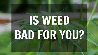 Is Smoking Weed Bad For You? (The Health Effects of Marijuana)