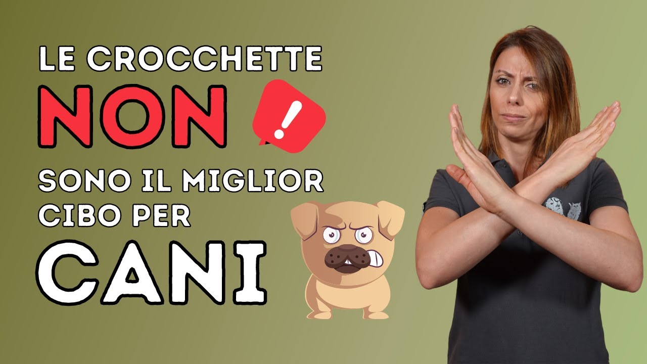 Le crocchette non sono il miglior cibo per cani! Ti spiego perché