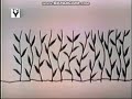 Sesame Street Episode 162 Opening Animation