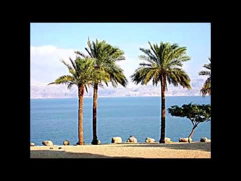 Karavan - Pärlipüüdja (Karaoke)