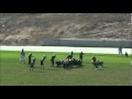 Seaside Raiders Pee Wee 2010