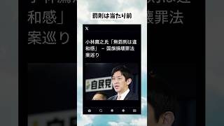 #政治 #政治ニュース #政治系チャンネル #shorts