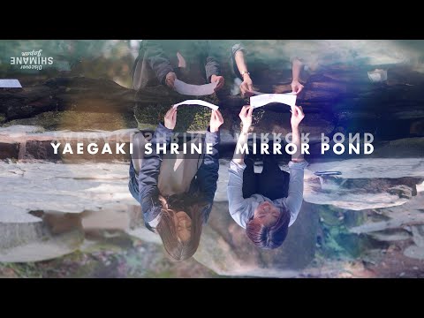 Unique Fortune Telling at the Mirror Pond @ Yaegaki Shrine, Shimane.