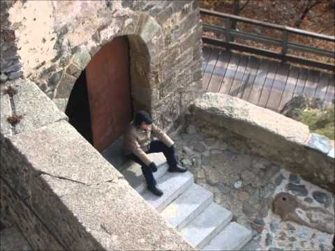 HAPPY BIRTHDAY 5-6-2014 - GIFT FOR MY ETERNAL LOVE VIJAY part 2