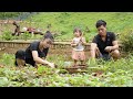 Harvesting Vegetables to Sell, Growing Plants, Rustic Cooking, Mountain Family Farm | EP. 48