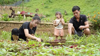 Harvesting Vegetables to Sell, Growing Plants, Rustic Cooking, Mountain Family Farm | EP. 48