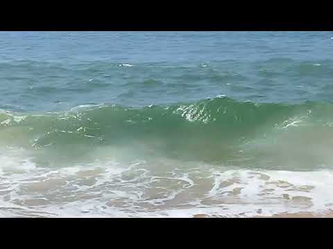 #TheGoldenBeach #NaiyarBackwater #Kerala #TheArabianSea #RituparnaPalchoudhury