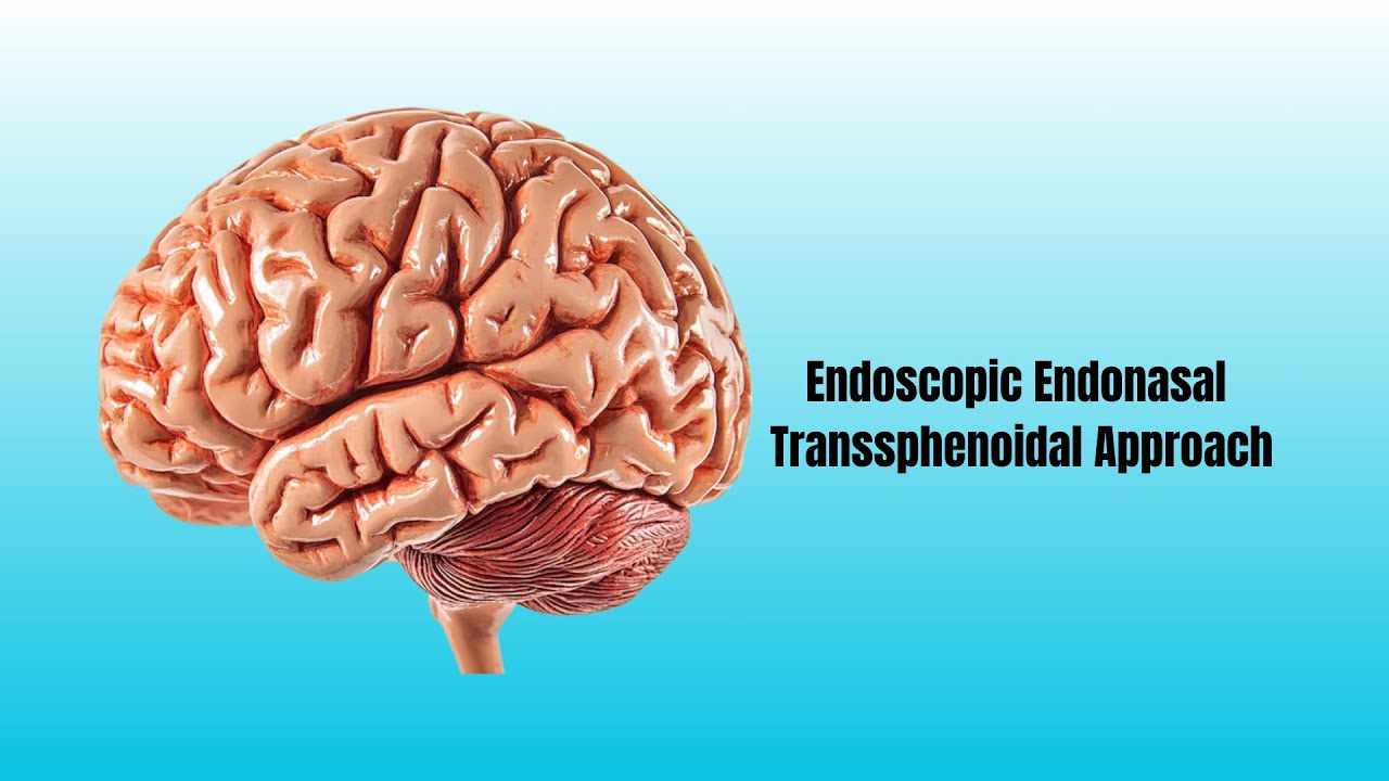 David Tafur Muñoz-2475