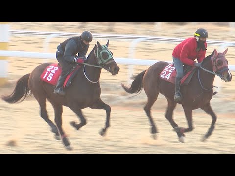 9/13-신승옥-,금요경마예상 방송