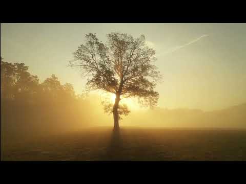 Opwekking 565 Geest van God