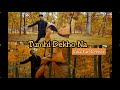 TUMHI DEKHO NA Vina Fan Version Parodi Recreate Rani Mukerji Shah Rukh Khan Kabhi Alvida