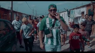 Mosquitos  KC Rebell  Lyrics