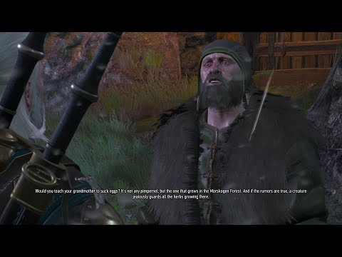 The Witcher 3 Pt. 140 - Side Quest: Practicum in Advanced Alchemy Pt. 1