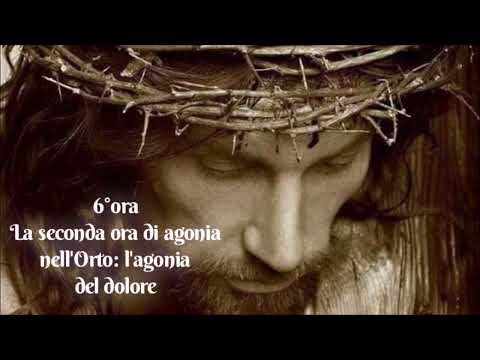 Le ore della Passione - 6°ora - La seconda ora di agonia nell'orto di Getsmani: l'agonia del dolore