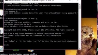 Error 1045 Accesd danied for user &#39;root&#39;@&#39;localhost&#39; (using password:YES) en cmd  Resuelto