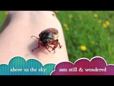 Jo Lenz Lyrics • »I had a guest« • Shitstorm from Maybug