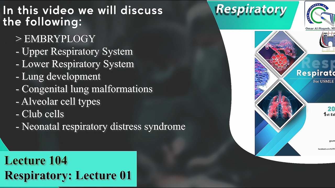 Lung development || Congenital lung malformations || Neonatal respiratory distress syndrome