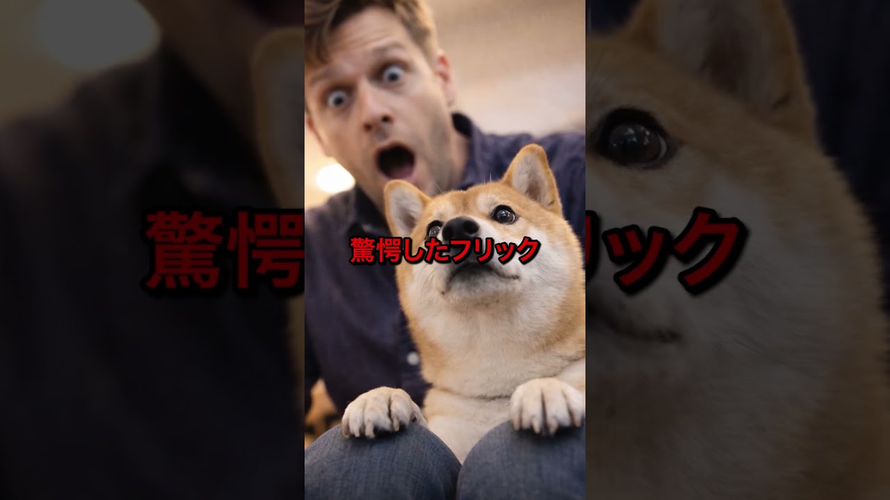 🌸 #shorts #海外の反応 #日本賞賛