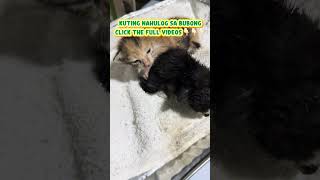 Download lagu Click the full videosππ»ππ» https://youtube.com/watch?v=tcNKAsZm1vA&si=2MtyKy4KzTcJz5-9 mp3 Download lagu Click the full videosππ»ππ» https://youtube.com/watch?v=tcNKAsZm1vA&si=2MtyKy4KzTcJz5-9 mp3