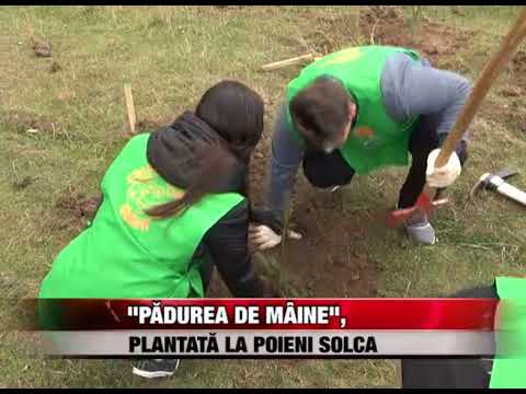 "Pădurea de mâine", plantată la Poieni-Solca