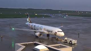 大韓航空 B737 KE2197便 新潟空港着陸 タイガーエア台湾 エアバスA320 IT229便 離陸