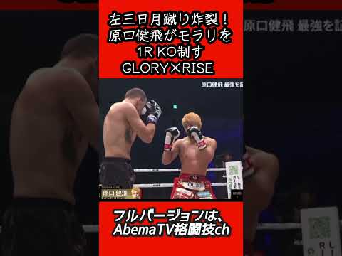 左三日月蹴り炸裂！原口健飛がモラリを1R KO制す GLORY×RISE 65kgトーナメント