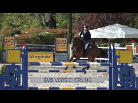 Diamant de Plaisir II *2017 by Diamant de Semilly x For Pleasure